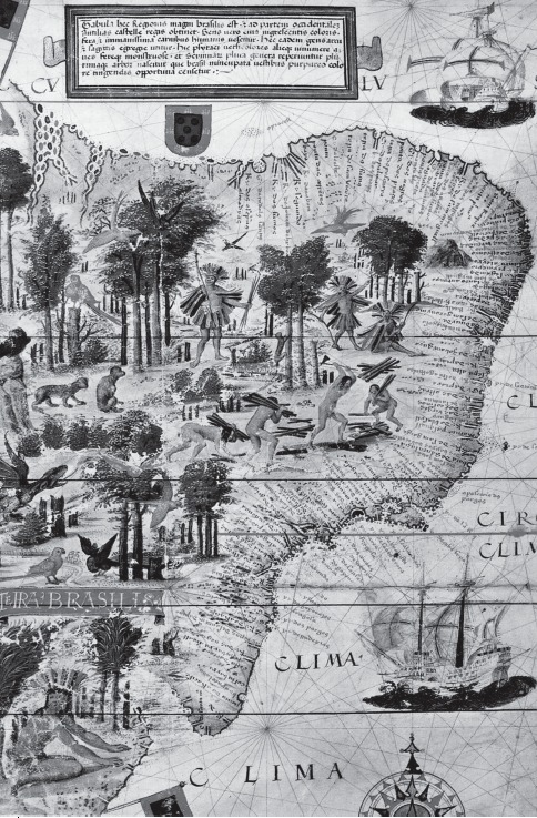 Mapa Terra Brasilis, de Lopo Homem, 1515–1519